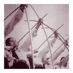 Die Weisse Rose : Flamme